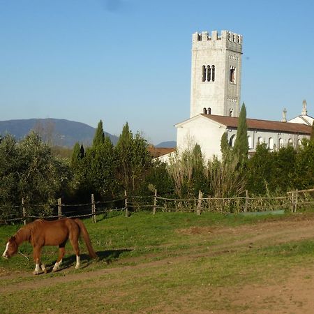 Casa Marce A "Sonno" Bed & Breakfast Porcari Exterior photo